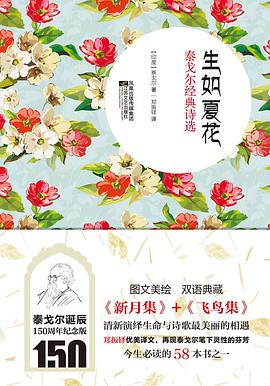 生如夏花 生如夏花