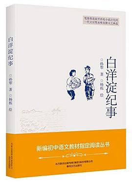 白洋淀纪事