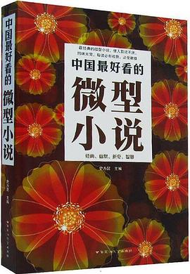 中国最好看的微型小说