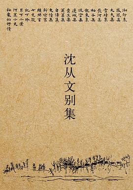 沈从文别集(全20册) 沈从文别集(全20册)