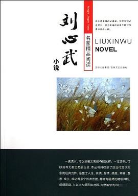 刘心武小说