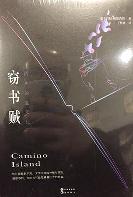 窃书贼