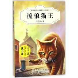 流浪猫王（升级版）