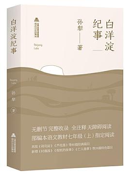 白洋淀纪事（64篇完整无障碍注释版）/中小学生必读丛书-教育部推荐新课标同步课外阅读